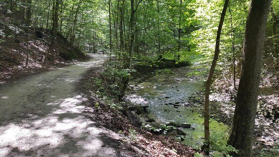 Wypożyczalnia rowerów